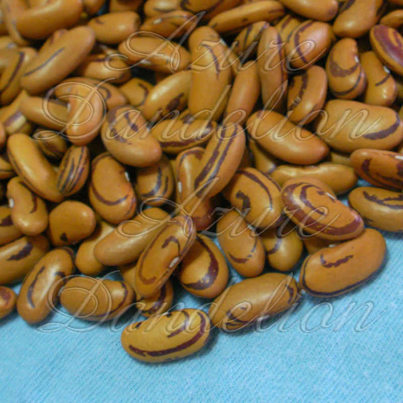 tiger eye beans
